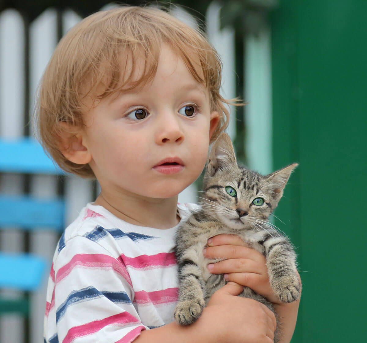 Enfant qui tient un chat dans ses bras.