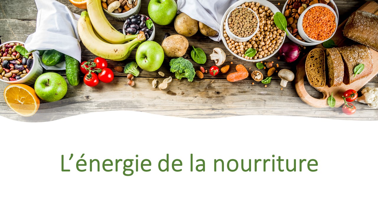 Photo montrant une table remplie d’aliments : légumes, fruits, légumineuses, pain.  