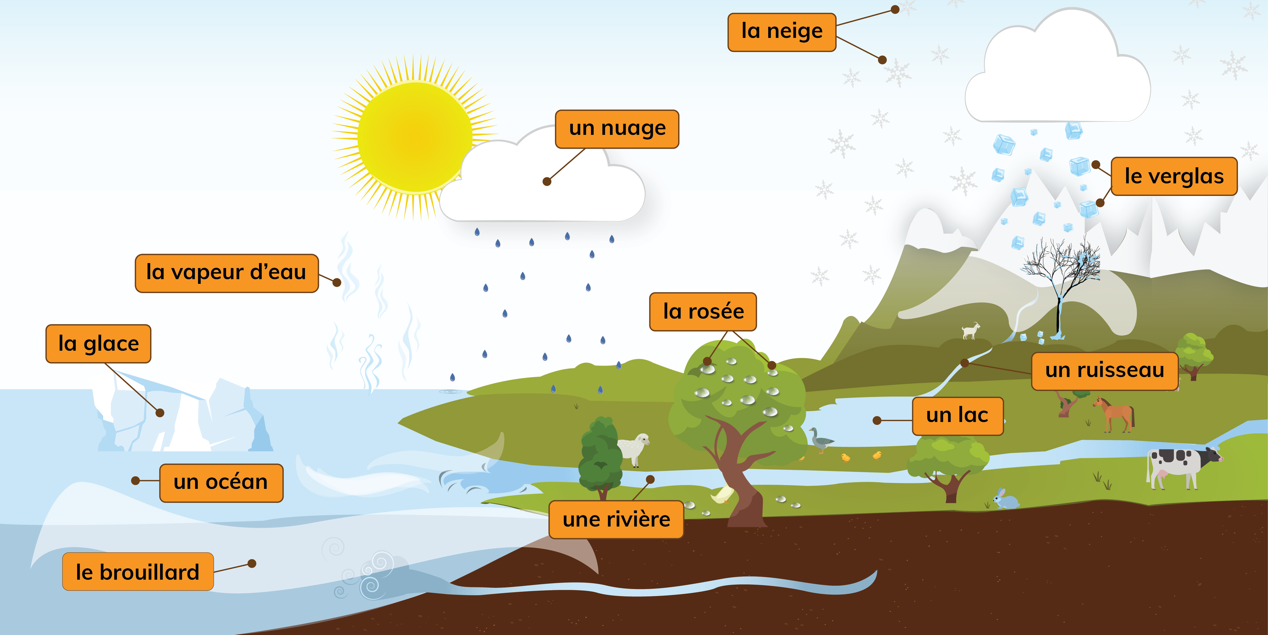 Illustration représentant diverses sources d'eau sur la Terre. 