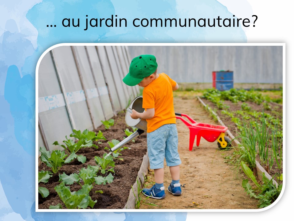 Un enfant arrose un potager. 