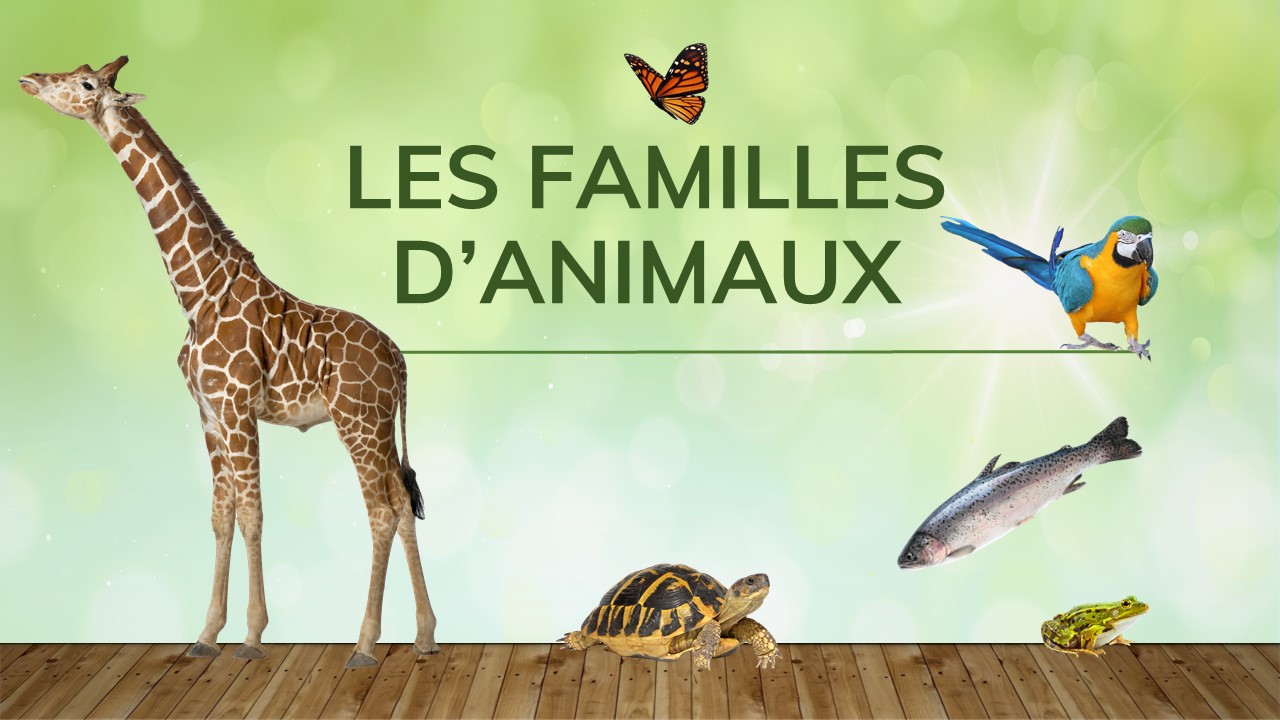 Un montage montrant une girafe, un papillon, un perroquet, une tortue, un poisson et une grenouille. 