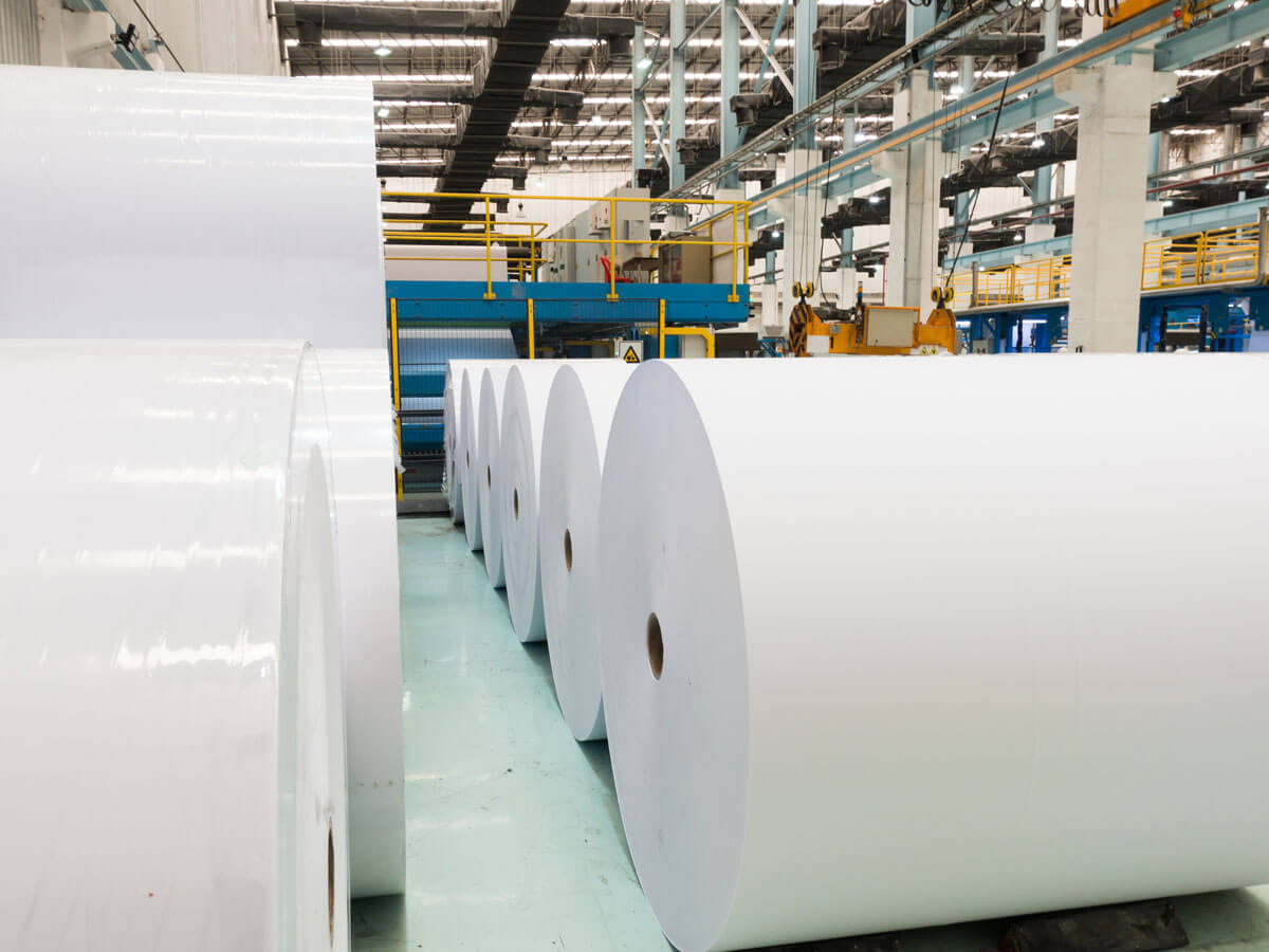 De gros rouleaux de papier dans une usine 