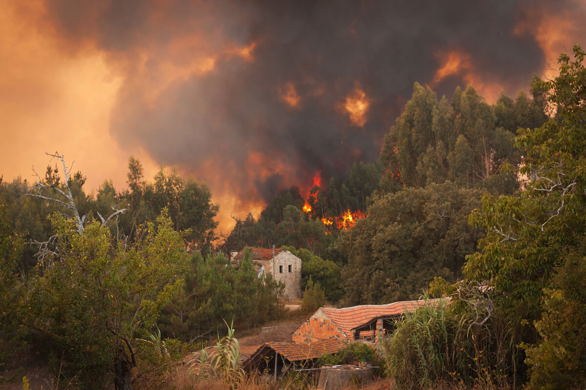 Un feu de forêt.