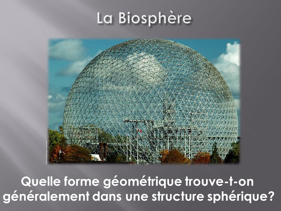 Le Biodôme de Montréal 