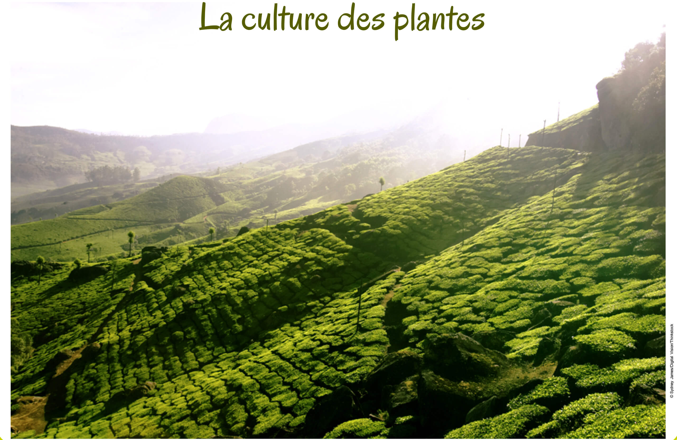 Des terres cultivables 