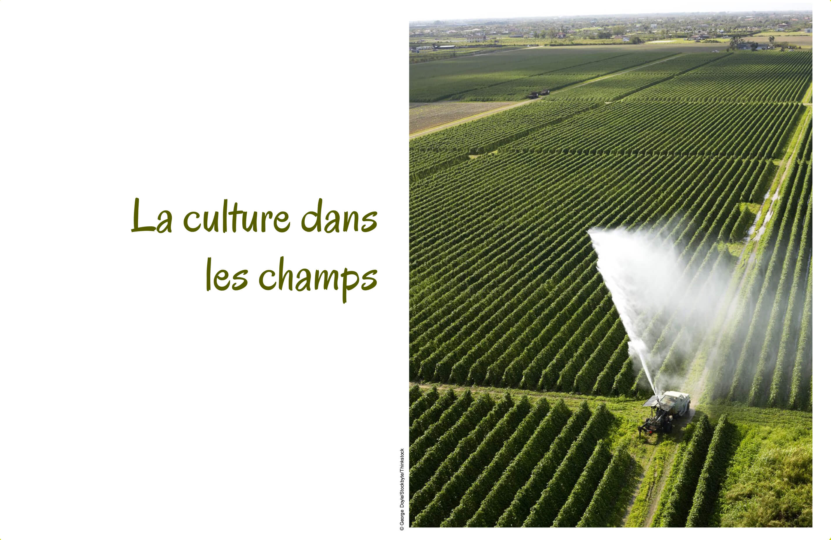 Des champs et de l’équipement pour l’arrosage 