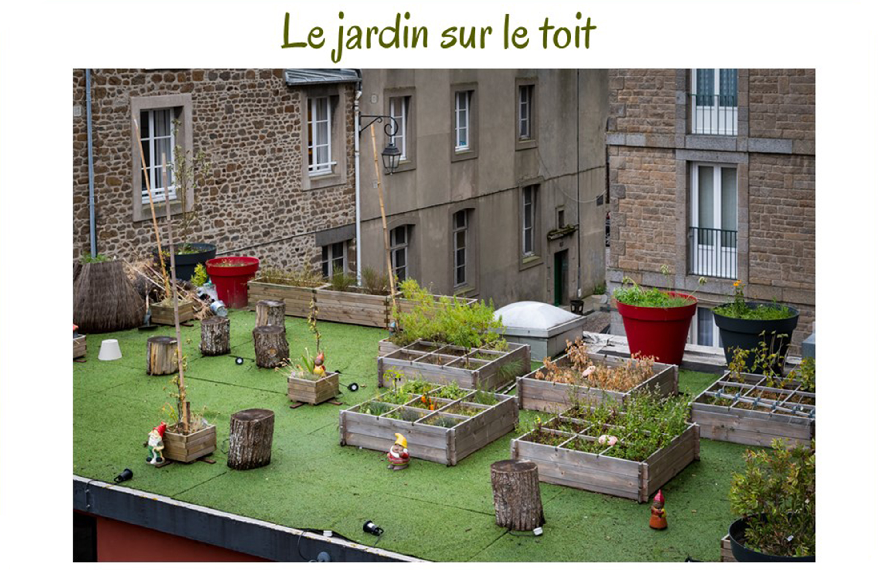 Un jardin sur un toit 